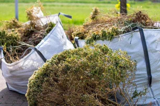 Best Dumpster Rental Services  in Pleasantville, NJ